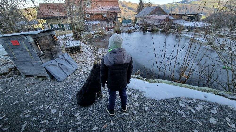Camping auf dem Bauernhof
