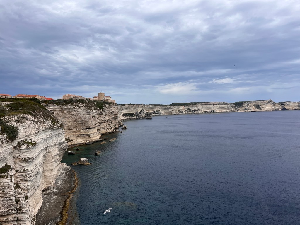 Bonifacio